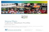 Stony Plain Labour Market Profile - sprucegrove.org · Tri-Municipal Region: Labour Market Proﬁle - Stony Plain Municipal Report Applications Management Consulting Ltd ...