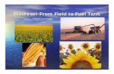 Kim Odden-Biodiesel-From Field to Fuel Tank .fuels like biodiesel. ... Homemade Biodiesel from Waste