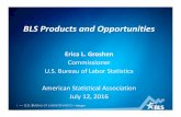 BLS Products and Opportunities · BLS Products and Opportunities Erica L. Groshen ... Basis for Occupational Outlook Handbook ... Matrix title Employment Typical