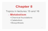 Chapter 8 - mgkmicro.commgkmicro.com/BIOL257/Lecture8.pdf · Chapter 8 Topics in lectures 15 and 16 ... –Principles and pathways. 3 ... Regulation •Metabolic pathways