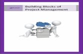 Building Blocks of Project Management - PMO Strategies · The Building Blocks of an Effective and Sustainable PMO ... own the future state of a PMO. Mistake #3: Deciding what kind