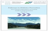 Pathways to Diabetes Prevention - c.ymcdn.comc.ymcdn.com/sites/ · of community-based groups, organizations delivering the DPP, health systems, and healthcare providers throughout