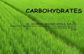 CARBOHYDRATES - Universiti Putra Malaysia 3202-2 karbohidrat.pdf · CARBOHYDRATES By: DR. SHAMSUL AZAHARI ZAINAL BADARI Department of Resource Management And Consumer Studies Faculty