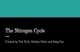 The Nitrogen Cycle - Montville Township School District · What is the nitrogen cycle and why is ... form of nitrogen Instead, nitrogen must be in its “fixed ... other elements