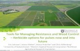Tools for Managing Resistance and Weed Control – Herbicide ...saskpulse.com/files/general/2_Eric_Johnson_Pulse...web_version.pdf · Tools for Managing Resistance and Weed Control