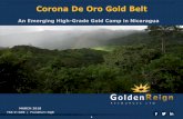 Corona De Oro Gold Belt - goldenreignresources.com · Kevin Bullock CEO, Director Kim Evans CPA, ... Junior mining exploration sector, ... Gold Fields is one of the world's leading
