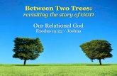 Between Two Trees - .04.01.2014 · (Exodus 31:1-11) • Rebellion (Exodus 31-32) • Sabbath (Exodus