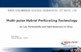 Multi-pulse Hybrid Perforating Technology · Multi-pulse Hybrid Perforating Technology ... Depth of Dogleg Point (m) ... Production casing 5”1/2 139.7 7.72 J55 1415.00 43.00