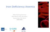 Iron Deficiency Anemia - bhs.be · Iron Deficiency Anemia BHS Training Seminar Red Blood Cells disorders November 9th 2013 Axelle Gilles