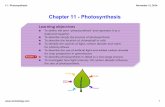 11 - Photosynthesis - Mr. C - Photosynthesis.pdf · 11  Photosynthesis  5 November 12, 2014 4. Light energises electrons and turns them into highenergy electrons.