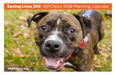 Saving Lives 365 ASPCApro 2018 Planning Calendar · SundayMonday Tuesday Wednesday Thursday Friday Saturday January 2018 Martin Luther King Jr. Day National Answer Your Cat’s Question