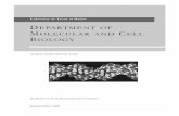 DEPARTMENT OF MOLECULAR AND CELL BIOLOGY - … ·  · 2017-04-17Department of Molecular and Cell Biology Table of Contents 1. Admission ... BIOL5420 Molecular Biology ... (Molecular