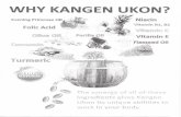 urnbiz.comurnbiz.com/_documents/kuh-brochure.pdf · Kangen Water@ soft gel capsule is individually packaged for easy use. Our Kanoeu tIk01NM contains more Ukon essential oil than
