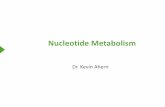 Nucleotide Metabolism - Oregon State Universityoregonstate.edu/.../451material/Keynotes/31NucleotideMetabolism.pdfNucleotide Metabolism • Introduction Nucleotides are the Building