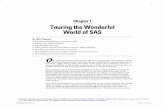 Chapter 1 Touring the Wonderful World of SAS · Chapter 1 Touring the Wonderful World of SAS In This Chapter ... the data preparation aspect of business analytics. 05_539682-ch01.indd