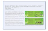 Rumen Mladenov, Ilia Cheshmedzhiev, Ivanka …phytolbalcan/PDF/23_2/PhytolBalcan_23-2_Cover_3.pdfRumen Mladenov, Ilia Cheshmedzhiev, Ivanka Dimitrova ... botany that cover cytology,