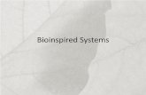 Bioinspired Systems - University of Wyoming · the most efficient anodic “electrolysis” system known . ... Hydrogen evolution by PS I and hydrogenase . ... Chem. 2005, 44, ...