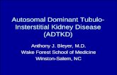 Autosomal Dominant Tubulo- Insterstitial Kidney …bns-hungary.hu/documents/21bns/2014bns_0826_1040.pdfAutosomal Dominant Tubulo-Insterstitial Kidney Disease (ADTKD) Anthony J. Bleyer,