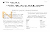 Nitrates and Prussic Acid in Forages - Texas A&M …forages.tamu.edu/PDF/Nitrate.pdfWhen nitrates and prussic acid accumulate in forage, the feed may not be safe for livestock consumption.