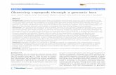 Observing copepods through a genomic lens copepods through a genomic lens James E Bron ... genomic and transcriptional data tell us about organis- ... The broad size range of eukaryotic
