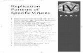 WBV15 6/27/03 11:09 PM Page 229 Replication Patterns of … · Replication Patterns of ... One further general feature of the replication of RNA viruses is worth noting. ... strand