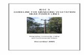 ISSC 3 Guideline for Managing Vegetation Near Power … your community... · VEGETATION MANAGEMENT ... Minimum Safety Clearance Radius for Bare and Covered Conductors ... ISSC 3 Guideline