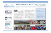 BRIDGE Newsletter · Bridging Resources and Agencies in Large-Scale ... The previous issue of the BRIDGE Newsletter (December ... were also invited to observe the exer-