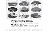 City of Phoenix CAFR 2017 CAFR 2017.pdfPSPRS - Fire 110 Schedule of ... City Improvement Debt Service Fund. 148. Enterprise Funds ... By Type of Security to Bondholders H-9 210