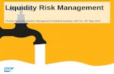Liquidity Risk Management - RiskLab-Madrid: Presentaciónrisklab.es/es/jornadas/2014/06 -Thomas Schmale.pdf · Thomas Schmale, Solution Management Analytical Banking, SAP AG, 29th