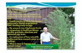 Ib Borup Pedersen Eleveur danois - Nature et Progrès … · Presentation by Ib Borup Pedersen. Sows –Straw based system (Summer) Transponder feeding and natural ventilation ...