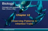Observing Patterns in Inherited Traits - websites.rcc.eduwebsites.rcc.edu/mcdonald/files/2017/02/Ch13-Part-1-stu.pdf · 2017-03-26 · has led to the incredible variety of body types
