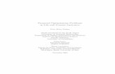 Financial Optimization Problems in Life and Pension … · Financial Optimization Problems in Life and Pension Insurance Peter Holm Nielsen Thesis submitted for the Ph.D. degree Laboratory