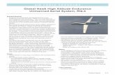 Global Hawk High Altitude Endurance Unmanned Aerial System ... · Global Hawk High Altitude Endurance Unmanned Aerial System, ... • Measurements of the effectiveness of the imagery