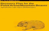 Recovery Plan for the Point Arena Mountain Beaver Recovery...The Point Arena mountain beaver is known only from its type locality, an areaof about 62 square kilometers (24 square miles),