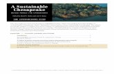 A Sustainable Chesapeake - The Conservation Fund Sustainable Chesapeake BETTER MODELS FOR CONSERVATION Edited by David G. Burke and Joel E. Dunn THE CONSERVATION FUND The case study