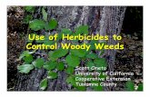 Use of Herbicides to Control Woody Weeds - UC …ucanr.edu/sites/csnce/files/57600.pdf · Glyphosate Products Available Over-the-Counter – Roundup, Roundup Pro, Roundup Concentrate