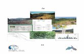 Microsoft Word - Coos Riparian Restoration Monitoring ...€¦  · Web viewOn most blackberry dominated sites, the brush was treated with a glyphosate-based herbicide used in the