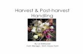 Harvest & Post-harvest Handling - WordPress.com & Post-harvest Handling By Liz Birkhauser ... 5 Keys to Post Harvest Handling 3. Packing ... 90-95% humidity.