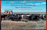 Pre-Harvest Cattle Management Practices for … Cattle...Pre-Harvest Cattle Management Practices for Enhancing Beef ... several different pre-harvest factors (both genetic and ...