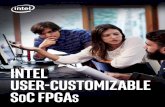 INTEL USER-CUSTOMIZABLE SOC FPGA S - altera.com · We built in a variety of features to protect your system against potential hardware or software errors. ... To help you lower your