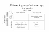 Different types of microarrays - biomol.it · Different types of microarrays cDNA spotted arrays (Stanford) ... (continued) • Different spots ... • Low density compared to oligonucleotide