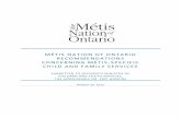 MÉTIS NATION OF ONTARIO RECOMMENDATIONS … · mÉtis nation of ontario recommendations concerning mÉtis-specific child and family services submitted to ontario [s minister of children
