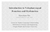Introduction to Velopharyngeal Function and Dysfunctioncslu.ogi.edu/~xiaochua/talks/handout06.pdf · Introduction to Velopharyngeal Function and Dysfunction ... Hypernasality: excessive