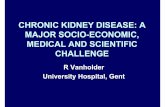 CHRONIC KIDNEY DISEASE: A MAJOR SOCIO …uremic-toxins.org/documents/Renal-Failure-EUTox-Vanholder.pdf · CHRONIC KIDNEY DISEASE: A MAJOR SOCIO-ECONOMIC, MEDICAL AND SCIENTIFIC CHALLENGE