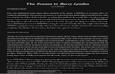 The Zooms in Barry Lyndon - Jeffrey Scott Bernstein LYNDON... · 2006-11-05 · In terms of pure zooms, ... Consider Barry’s opening scene in Barry Lyndon: ... work in different