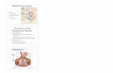 17. Respiratory System NOTES copy - penguinprof.com · Respiratory System ... pulmonary disease or acute respiratory distress ... (such as chronic bronchitis and emphysema) by 12