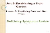 Unit B: Establishing a Fruit Garden - Afghan Agricultureafghanag.ucdavis.edu/educational-materials/files/fruit-nuts/ed...Unit B: Establishing a Fruit Garden. ... round blemishes, more