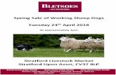 Spring Sale of Working Sheep Dogs Tuesday 24th April 2018 ... · Sex: Bitch Age: 5 Years Colour: Black & White, Smooth Coat Sire ... Comments: Well-bred youngster showing a lot of