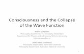 Consciousness and the Collapse of the Wave Function and the Collapse of the Wave Function Kelvin McQueen Philosophy department, VU University Amsterdam Department for Physics and Astronomy,