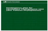 Contingency plan for - Forestry Commission homepage · Contingency plan for Candidatus Phytoplasma ulmi ... agencies anticipate, assess, prepare for, prevent, ... 3.6. The most likely